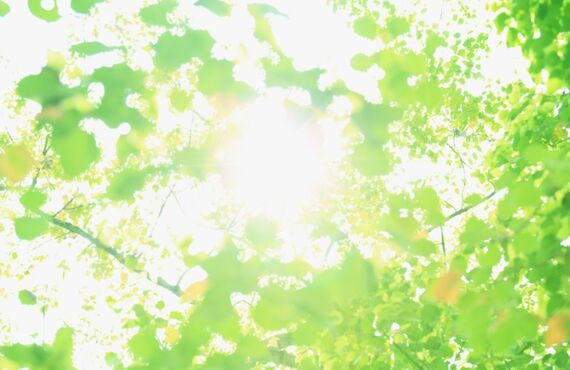 安佐南区にあるHALE整骨院ではマンツーマンでパーソナルトレーニングを受ける事ができます