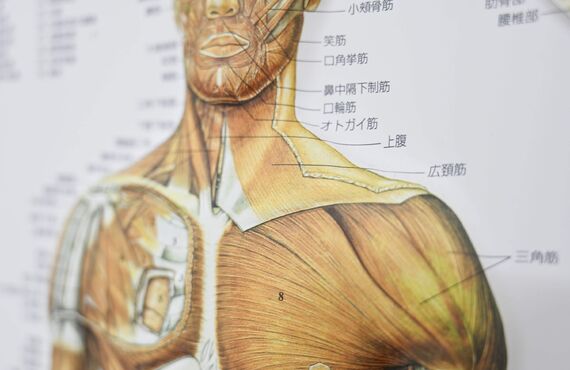 安佐南区で骨格矯正を受けたい方｜HALE整骨院